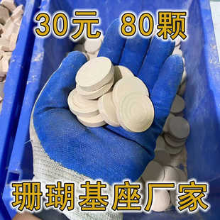 圆形珊瑚基座中号3.4厘米陶瓷透水高密度繁殖海水断枝硬骨火柴