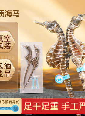 海马一公一母干货中药材线纹泡酒煲汤料包小海马100克批发配对CN