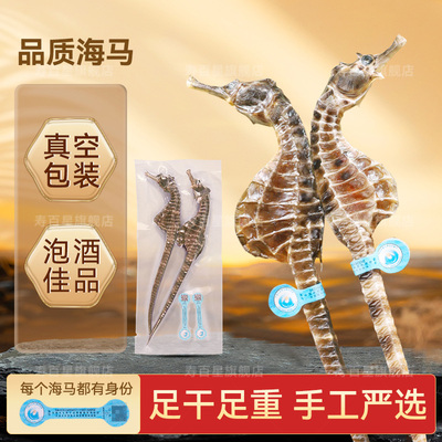 海马一公一母干货中药材线纹泡酒煲汤料包小海马100克批发配对CN