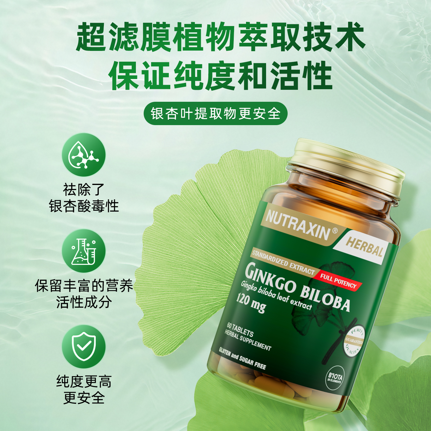 Nutraxin银杏叶脑活素