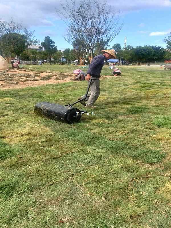 ?压草坪滚筒整平草地工具草皮夯实压地滚筒草坪滚压机花园铺草绿,橡塑材料及制品,其他塑料制品,淘宝优惠券,粉丝福利购,淘宝优惠卷
