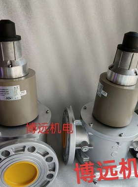 SG40FS/220施能慢开电磁阀 SG50FS/220  SG65FS/220 SG80FS/220