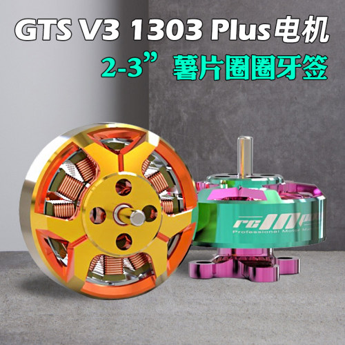 致盈动力GTSV31303plus电机