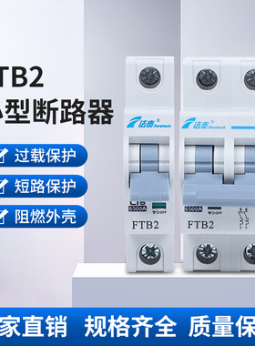 法泰电器FTB2-C型断路器微断空气开关家用空开家用三相空气开关