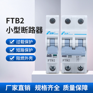 法泰电器FTB2 C型断路器微断空气开关家用空开家用三相空气开关