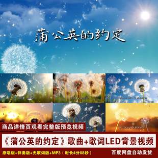 周杰伦歌曲伴奏 约定 歌词唯美舞台LED背景视频 蒲公英 YR67