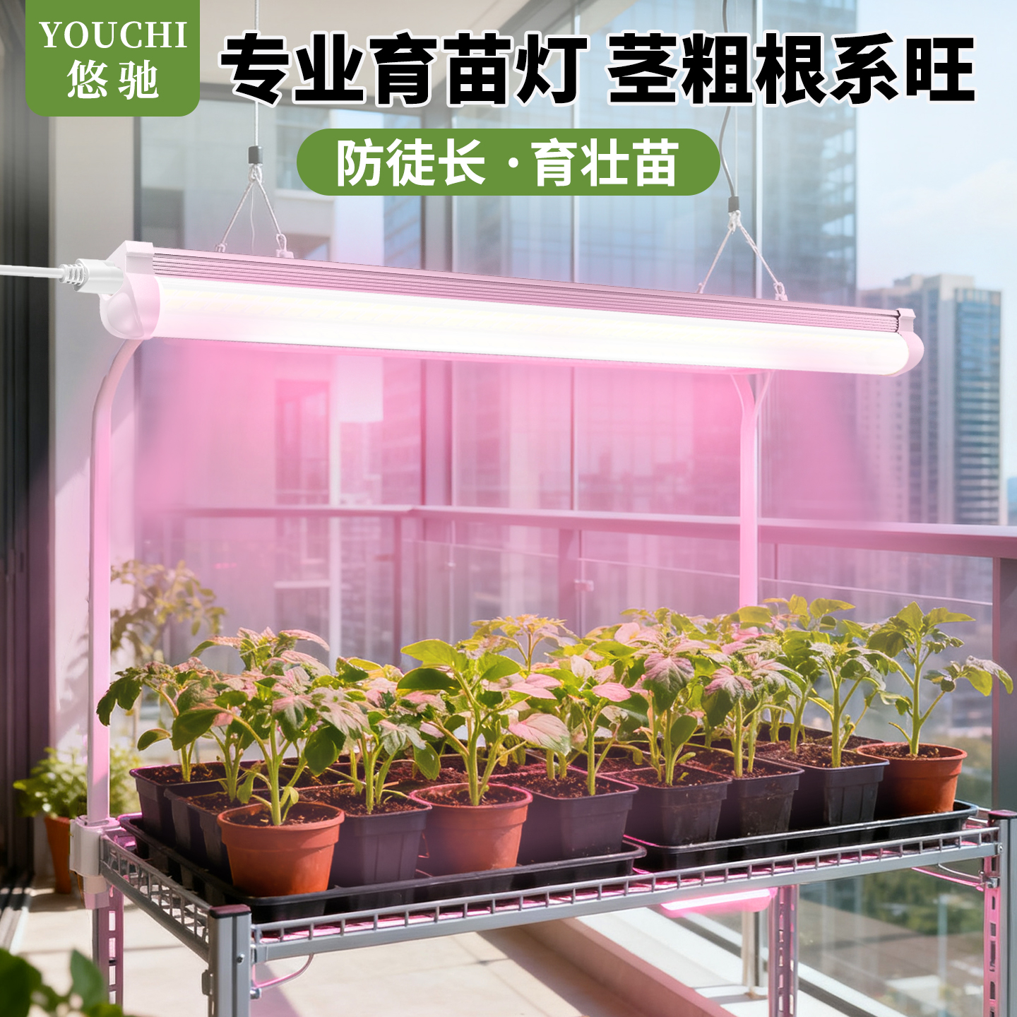 植物补光灯防徒长促生长上色快