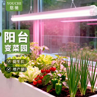 植物补光灯防徒长促生长上色快