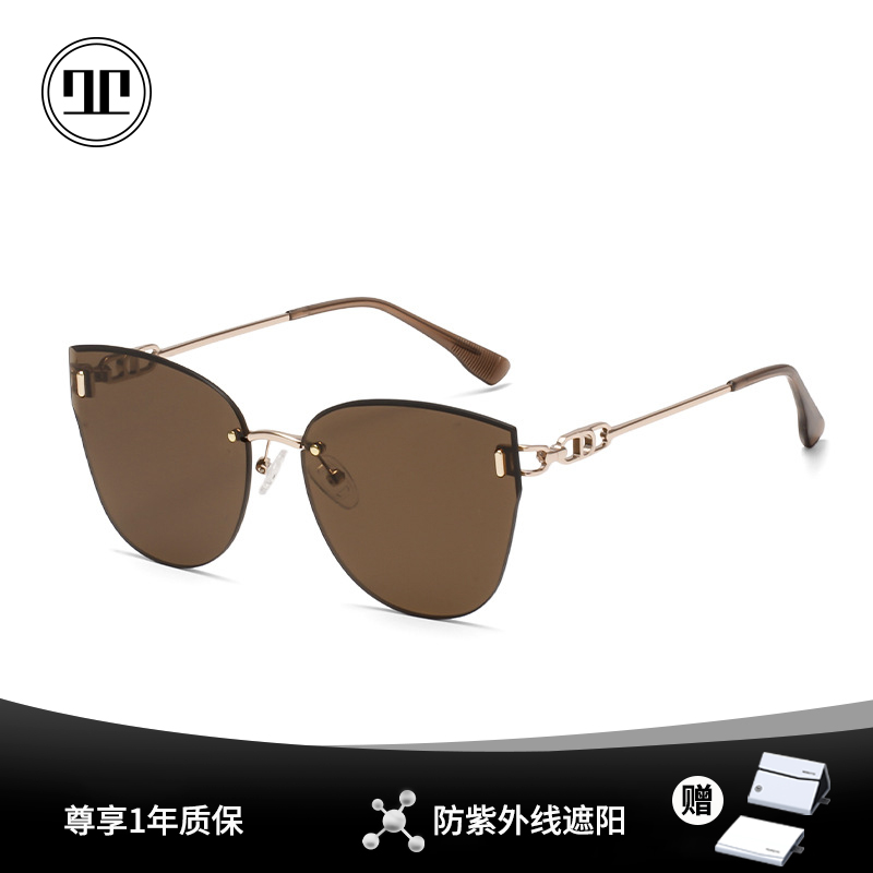 茶色墨镜女款高级感2025新款