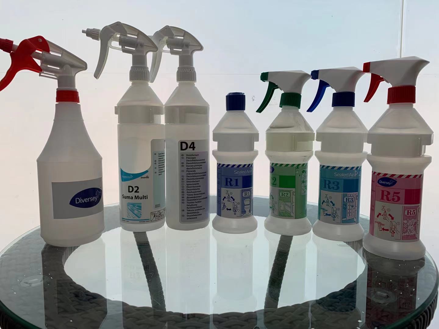 Diversey泰华施D4DR1R2R3R5喷壶   2个起包邮