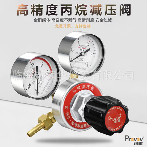 铂唯丙烷气瓶减压阀YQW-213全铜气体减压阀0.25*2.5压力表双头