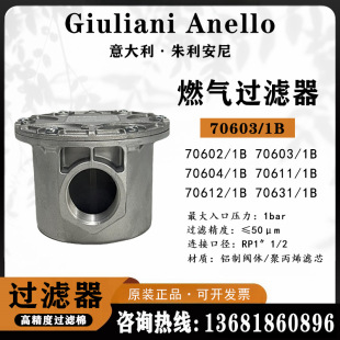 意大利朱利安尼 70603/1B燃气过滤器70603/6B高精度过滤棉过滤器