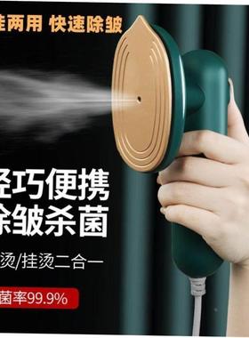 Handheld Steamer Portable Steam Electric iron 220V 1000W1