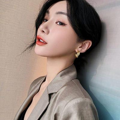 s925 Silver Needle Light luxury earrings temperament studs