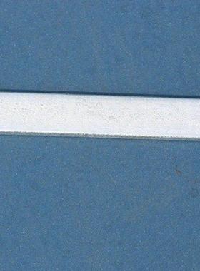 4 Pcs Steel Plates for Weighted Vest Rounded Anti-rust