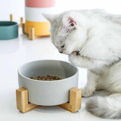 新款陶瓷猫碗猫咪食盆猫咪粮碗狗盆狗碗饮水碗双碗保护颈椎宠物碗