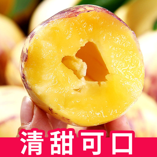 甘肃民勤人参果大果现摘人生果