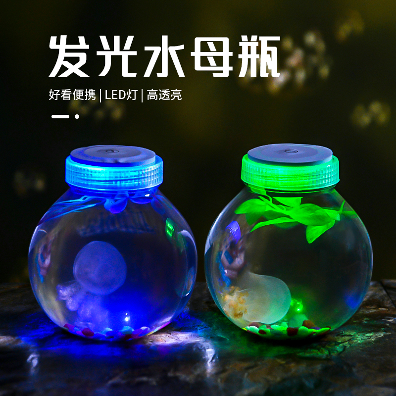 桌面塑料封闭式水母发光