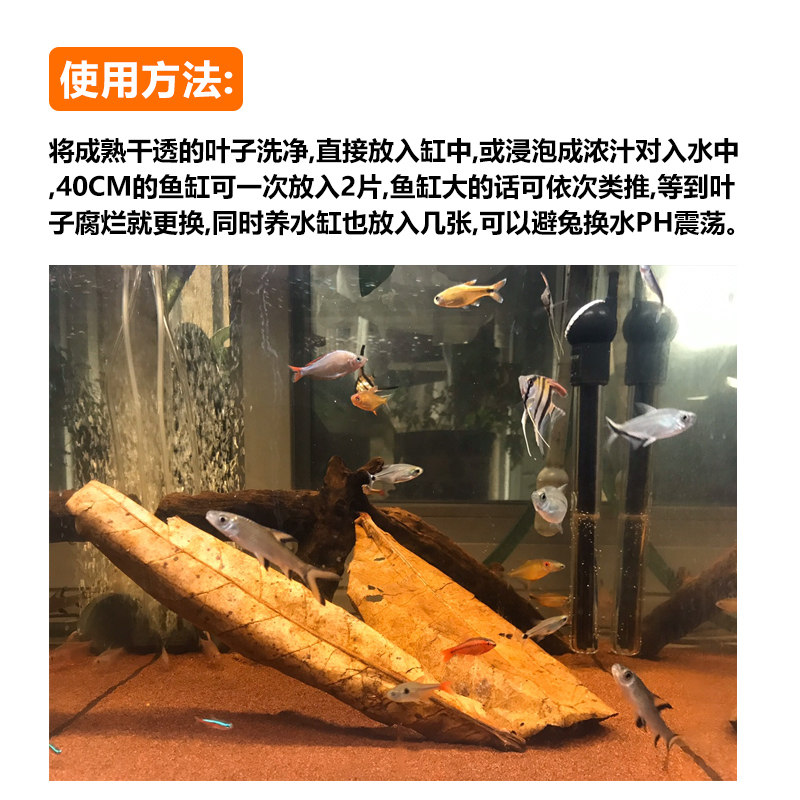 懒仁叶天然懒人叶水族小型热带鱼灯科鱼龙鱼乌龟虾缸降酸水族ph值