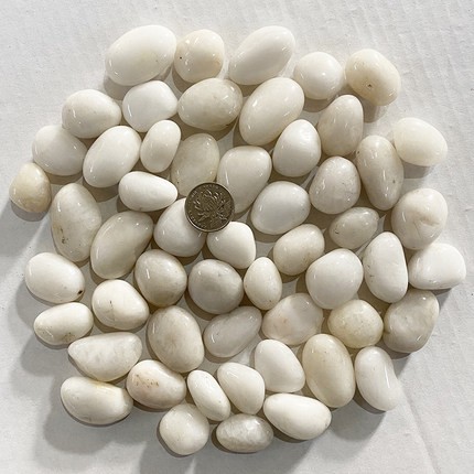 白色天然鹅卵石雨花石水培郁金香鱼缸造景铺路阳台装饰风水石天津