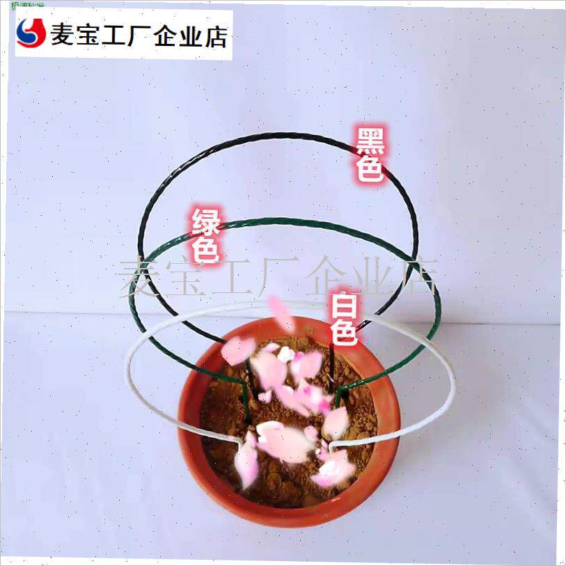 乌龟爬藤架龟甲龙花架金不w换花架植物花卉爱心圆形造型金属支架\