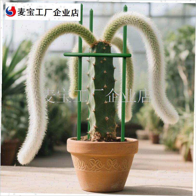 骨蟹爪兰固定架子l支柱植物支撑杆园艺爬藤花架火龙果防倒伏支架\