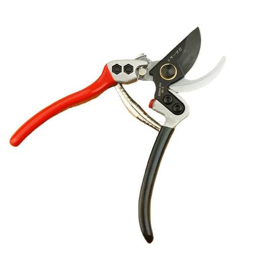 双色手柄树枝剪园艺剪刀修枝剪果树剪刀家用SK5树枝剪工具修花剪