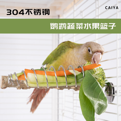 鹦鹉水果叉不锈钢水果篓