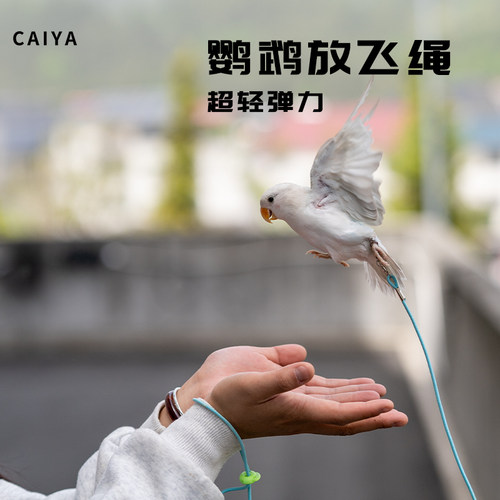 鹦鹉放飞遛鸟绳轻便活扣不伤脚