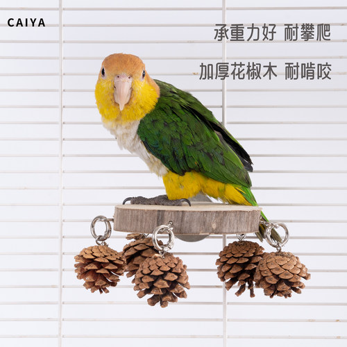CAIYA原木松果鹦鹉站台啃咬玩具