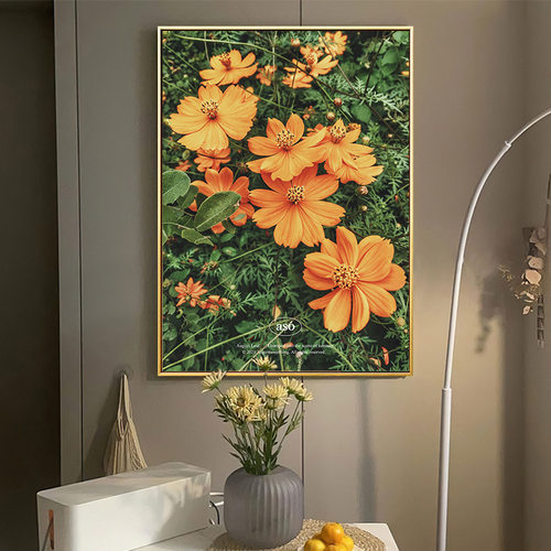 壁画格桑花价格 壁画格桑花图片 星期三