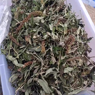白背枫干货驳骨丹 潮汕独叶埔姜 青荆 布荆 自晒枝叶干品中药材