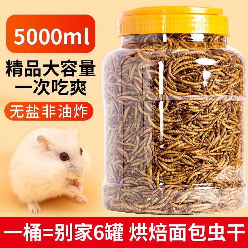 面包虫干仓鼠金丝熊芦丁鸡禽类爬行类宠物零食