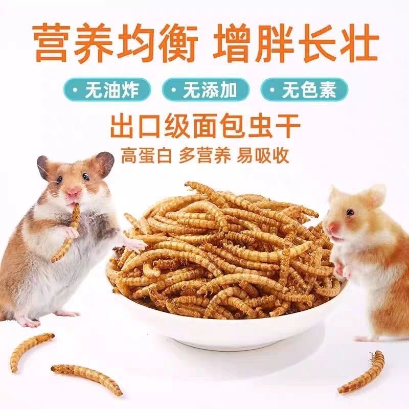 仓鼠零食面包虫干仓鼠粮食海鲜粮金丝熊粮食刺猬鱼鸟饲料食物用品