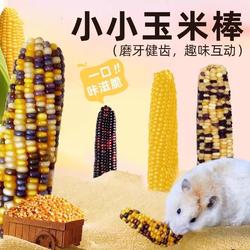包邮仓鼠磨牙棒小玉米零食小玉米金丝熊花枝鼠兔子龙猫磨牙玉米棒