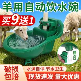 羊用饮水碗自动饮水器养羊喂水喝水碗饮水槽自动喝水神器养羊设备