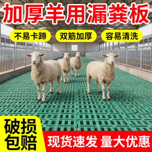 加厚羊用漏粪板塑料双筋养殖养羊专用羊床圈舍漏粪板养殖场架子