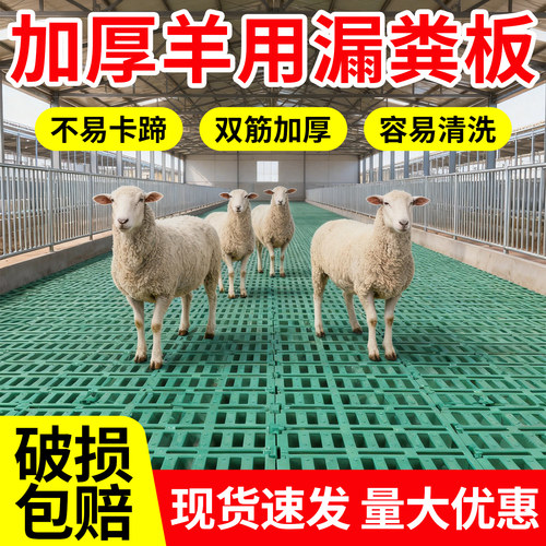 加厚羊用漏粪板塑料双筋养殖养羊专用羊床圈舍漏粪板养殖场架子