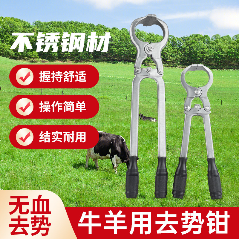 兽用去势钳牛羊用阉割钳子不锈钢无血去势钳结扎工具夹蛋煽羊钳子