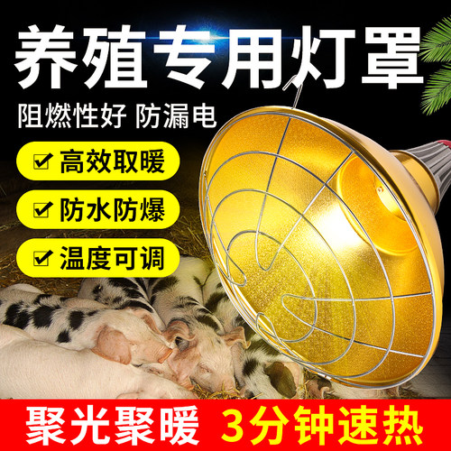 养殖保温灯灯罩防水调温设备