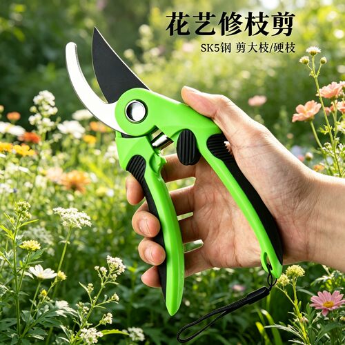 德国剪枝剪刀园林花艺修枝剪树枝剪刀强力园艺剪硬枝工具省力神器