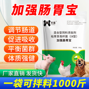 加强肠胃宝兽用益生菌调节肠道促进消化猪用牛羊狗畜禽饲料添加剂