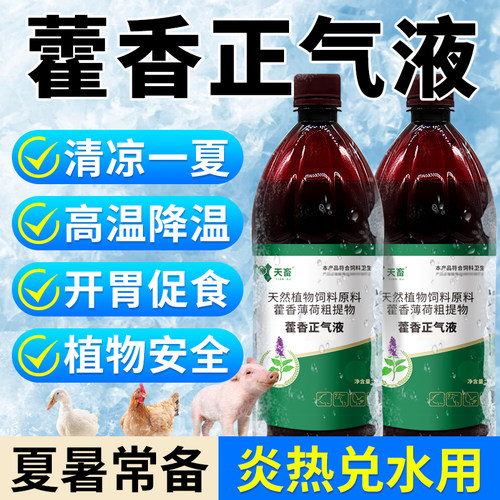 天畜兽用藿香正气液畜禽通用清凉一夏解暑降温开胃促食夏季常备