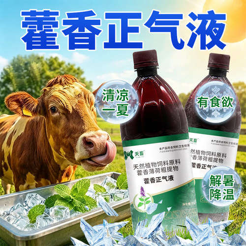 天畜兽用藿香正气液猪牛羊解暑降温鸡鸭鹅增加食欲藿香薄荷粗提物