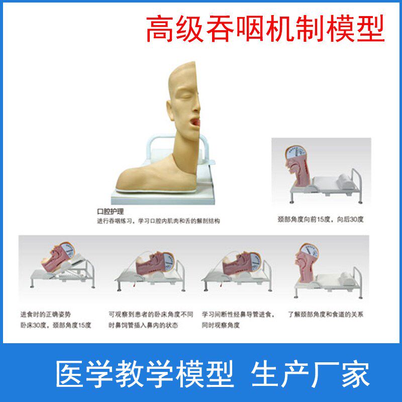 高级吞咽机制模型 吞咽机制训练模型 误咽R紧急处理训练模型