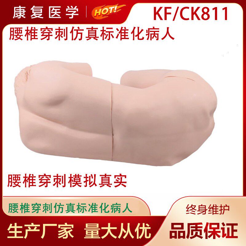 腰椎穿刺仿真标准化病人腰椎穿z刺模型CK811腰椎穿刺训练模型
