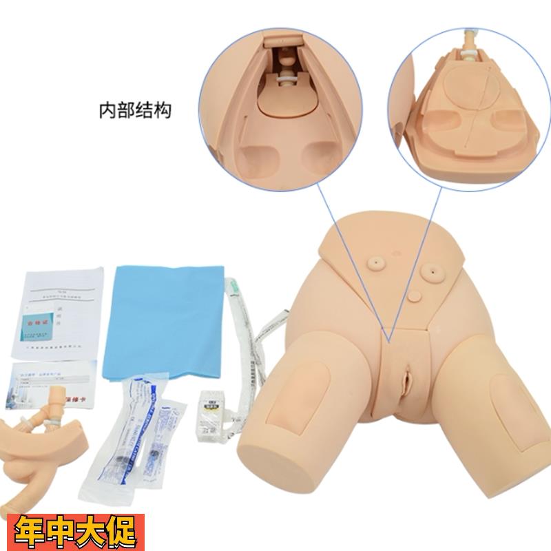 下半身导尿护理模型整体导尿培训模型男女性导尿模型