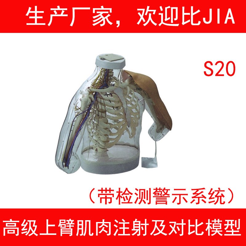 高级上臂肌肉注射及对比模型带C检测警示系统透明手臂注射模型