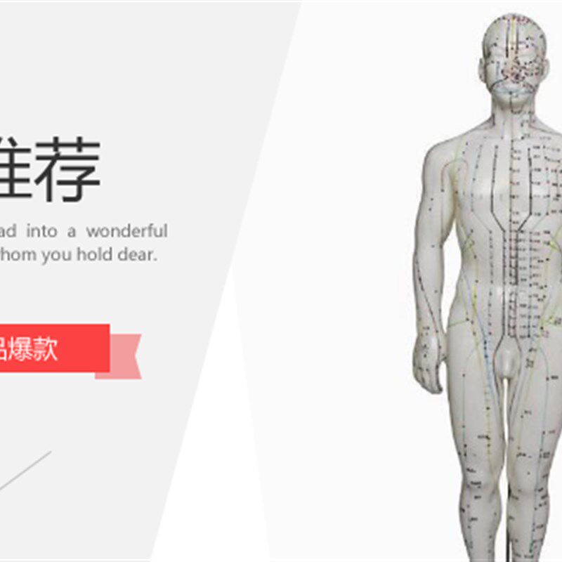 中医人体男性针灸模L型模拟人橡皮人