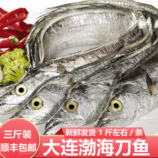 大连海货新鲜渤海刀鱼野生带鱼过年春节年货送礼礼物海鲜礼品礼包